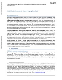Initial Market Assessment - Country Scoping Note: Haiti