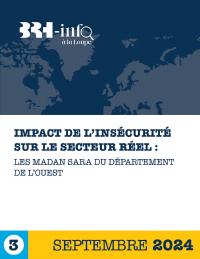 Impact of Insecurity on the Real Sector: The Madan Sara