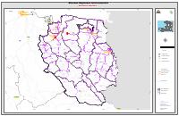 (2018-04) Interconnected Regional Electricity Networks: Nord-Est