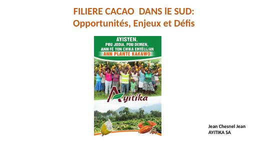 (2017-03) The Cocoa Value Chain in the South: Opportunities, Stakes and Challenges
