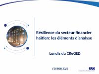 Resilience of Haiti's financial sector: elements for analysis