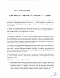 (2020-08) Guidelines for savings and credit cooperatives, 27 August 2020