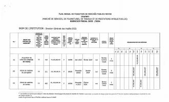 Plan annuel de passation de marchés publics de la DGI, exercice 2023-2024, révisé