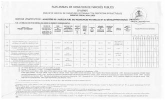 Plan anyèl pasasyon mache piblik MARNDR, egzèsis 2024-2025