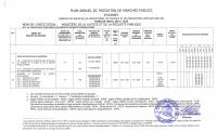 Plan anyèl pasasyon mache piblik MJSP, egzèsis 2024-2025