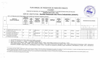 Plan annuel de passation de marchés publics, SONAPI, exercice 2024-2025