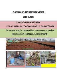 Hurricane Matthew and the Cacao Value Chain in the Grand'Anse