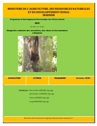 Plant Health Diagnosis of Avocado, Citrus and Banana at Baptiste