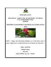 Impact of Coffee Interventions on Producer Incomes at Baptiste