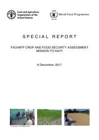 (2017) Rapò espesyal: Misyon FAO/PAM evalyasyon rekòt ak sekirite alimantè an Ayiti