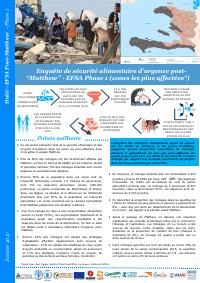 (2017) Haiti: Emergency Food Security Assessment (EFSA) Phase 1 Post-Hurricane Matthew (Most Affected Areas), January 2017