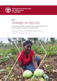 (2020) Haiti: Response Strategy - Contribution to the Humanitarian Response Plan (2019-2020) for the Period January-December 2020