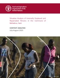(2025) Situation Analysis of Internally Displaced and Repatriated Persons in the Commune of Belladère, Haiti