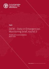 (2023-Q1) Haiti: DIEM - Data in Emergencies Monitoring Brief, Round 3 (March 2023)
