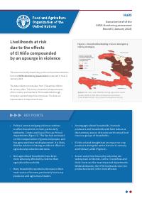 (2024-Q1) Haiti: Executive Brief of the DIEM-Monitoring Assessment, Round 5 (January 2024)