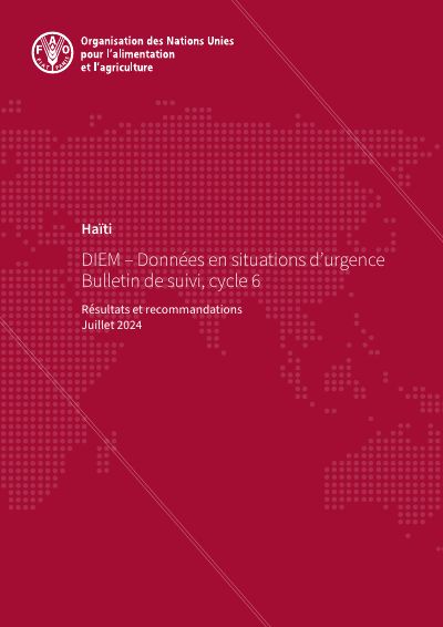 Haïti : DIEM, Données en situations d'urgence. Bulletin de suivi, cycle 6 : résultats et recommandations (juillet 2024)