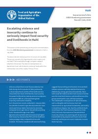 (2024-Q3) Haiti: Executive Brief of the DIEM-Monitoring Assessment, Round 6 (July 2024)