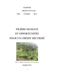 Mango Value Chain and Opportunities for Secured Credit