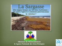 (2015-09) Sargassum: Brown Algae on Haiti's Coasts
