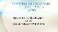 (2017-03) Capitalisation and Recapitalisation Project for SMEs