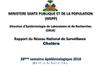 Profil statistique du choléra, semaine épidémiologique 28 de 2018