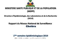 Profil statistique du choléra, semaine épidémiologique 1 de 2019