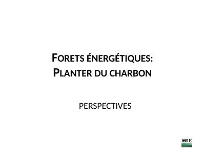 (2017-03) Energy Forests: Planting Charcoal