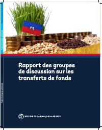 (2019) Report on Focus Groups on Remittances