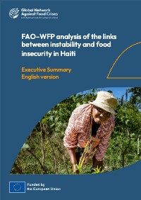 (2023) Analiz FAO-PAM sou lyen ant enstabilite ak ensekirite alimantè an Ayiti Rezime Egzekitif